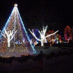 Lights at the Columbus Zoo